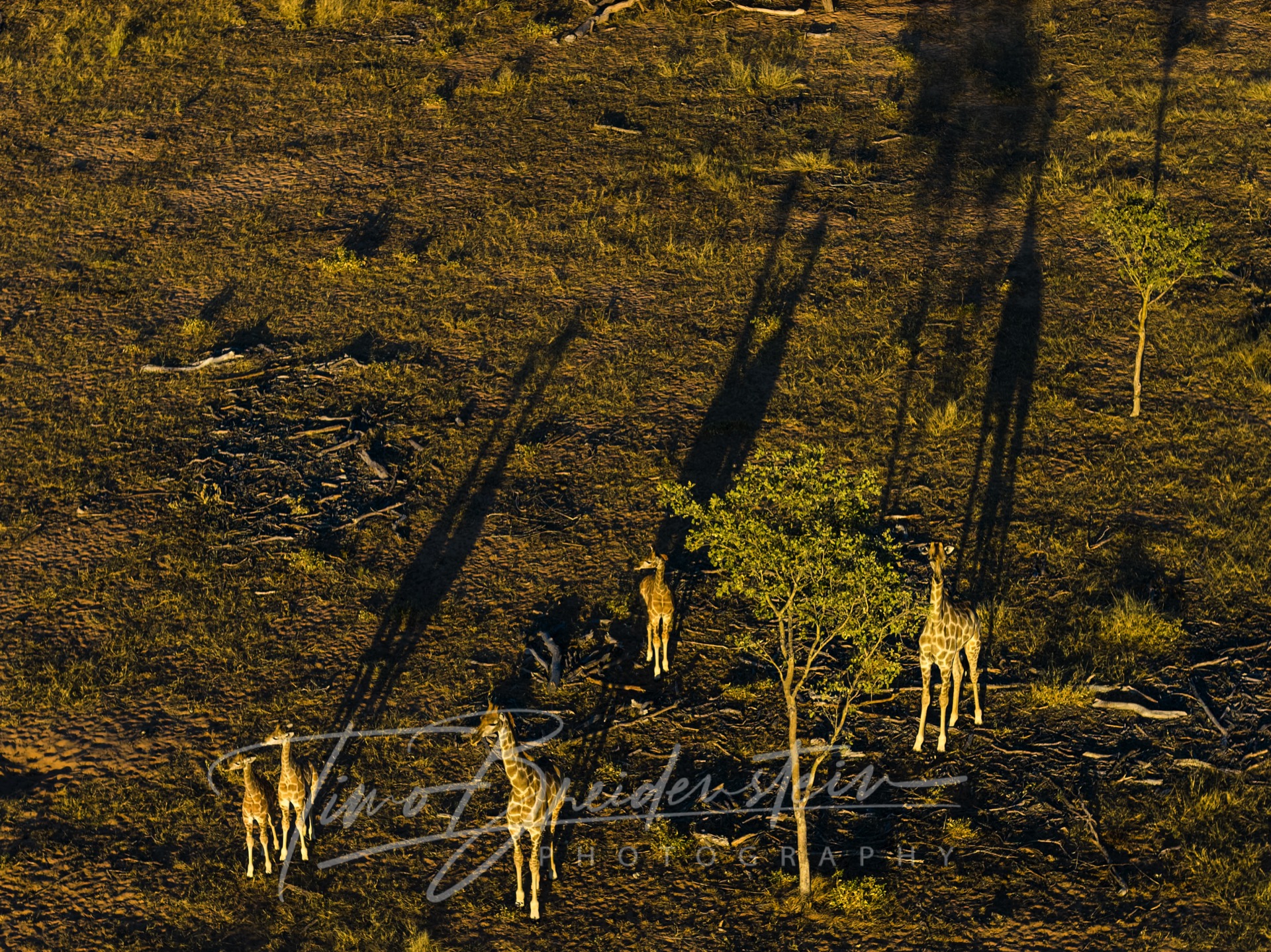 DJI 20250625080307 0131 D Kopie